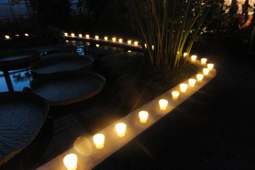 n_20110625_230410.jpg