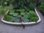 20110625_211824.jpg